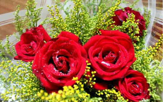 北京韋林意威特工業(yè)內(nèi)窺鏡有限公司預(yù)祝大家新年快樂，喜樂安康！